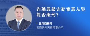 诈骗罪敲诈勒索罪从犯能否缓刑？?