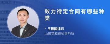 效力待定合同有哪些种类