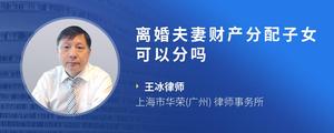 离婚夫妻财产分配子女可以分吗