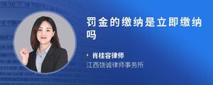 罚金的缴纳是立即缴纳吗