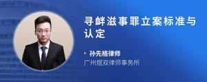 寻衅滋事罪立案标准与认定