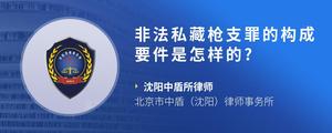 非法私藏枪支罪的构成要件是怎样的??