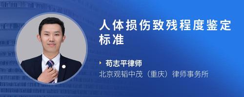 人体损伤致残程度鉴定标准