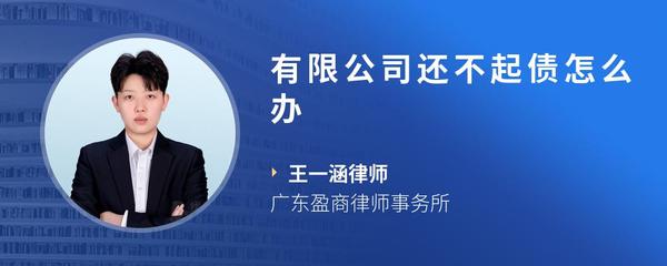 有限公司还不起债怎么办