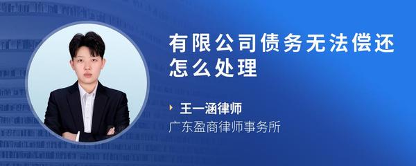 有限公司债务无法偿还怎么处理
