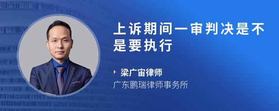 上诉期间一审判决是不是要执行