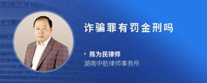诈骗罪有罚金刑吗