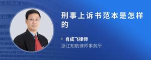 刑事上诉书范本是怎样的