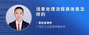 违章处理流程具体是怎样的