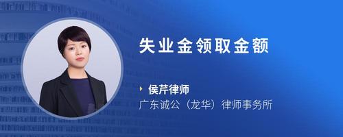 失业金领取金额