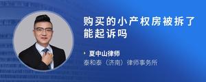购买的小产权房被拆了能起诉吗