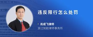 违反限行怎么处罚