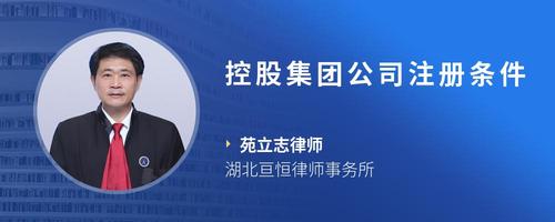 控股集团公司注册条件