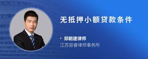 无抵押小额贷款条件