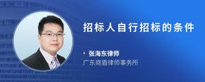 招标人自行招标的条件