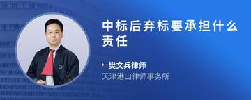 中标后弃标要承担什么责任