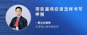 项目漏项应该怎样书写申报