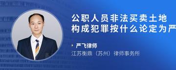 公职人员非法买卖土地构成犯罪按什么论定为严重