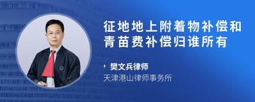 征地地上附着物补偿和青苗费补偿归谁所有