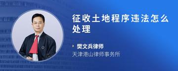 征收土地程序违法怎么处理