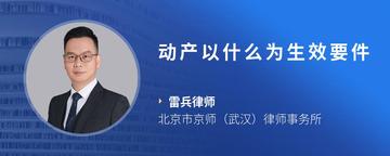 动产以什么为生效要件