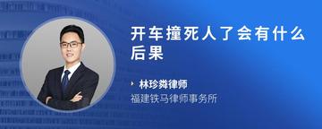 开车撞死人了会有什么后果
