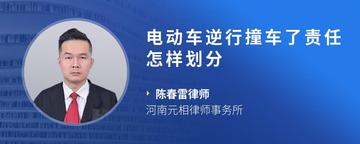 电动车逆行撞车了责任怎样划分