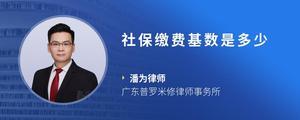 社保缴费基数是多少