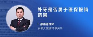 补牙是否属于医保报销范围