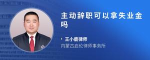 主动辞职可以拿失业金吗
