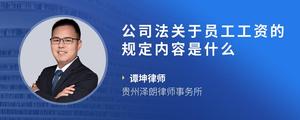 公司法关于员工工资的规定内容是什么