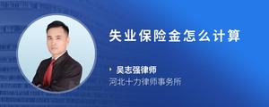 失业保险金怎么计算