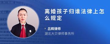 离婚孩子归谁法律上怎么规定