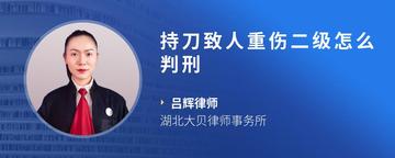 持刀致人重伤二级怎么判刑