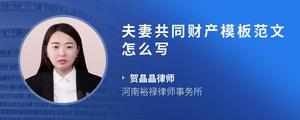夫妻共同财产模板范文怎么写