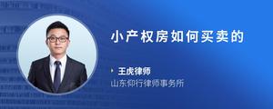 小产权房如何买卖的