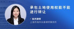 承包土地使用权能不能进行转让