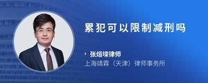 累犯可以限制减刑吗