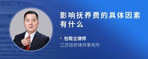 影响抚养费的具体因素有什么