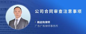 公司合同审查注意事项