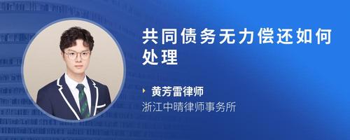 共同债务无力偿还如何处理