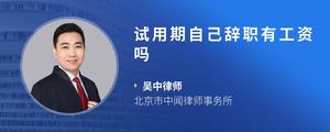试用期自己辞职有工资吗