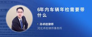 6年内车辆年检需要带什么