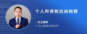 个人所得税应纳税额