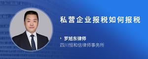 私营企业报税如何报税