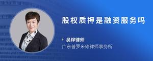 股权质押是融资服务吗
