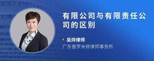有限公司与有限责任公司的区别