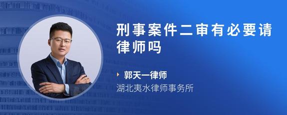 刑事案件二审有必要请律师吗