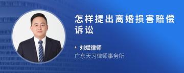 怎样提出离婚损害赔偿诉讼