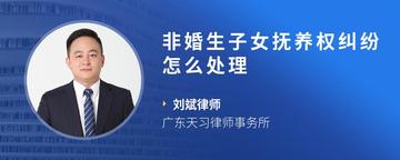 非婚生子女抚养权纠纷怎么处理